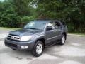 Galactic Gray Mica - 4Runner SR5 Photo No. 3