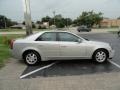 Light Platinum - CTS Sedan Photo No. 8