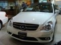 Arctic White - R 350 4Matic Photo No. 3