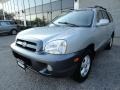 Smart Silver - Santa Fe GLS 4WD Photo No. 1