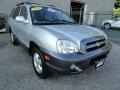 Smart Silver - Santa Fe GLS 4WD Photo No. 2