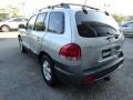 Smart Silver - Santa Fe GLS 4WD Photo No. 4