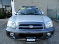 Smart Silver - Santa Fe GLS 4WD Photo No. 5