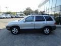 Smart Silver - Santa Fe GLS 4WD Photo No. 7