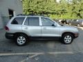 Smart Silver - Santa Fe GLS 4WD Photo No. 8