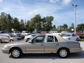 2004 Gold Ash Metallic Mercury Grand Marquis LS  photo #2