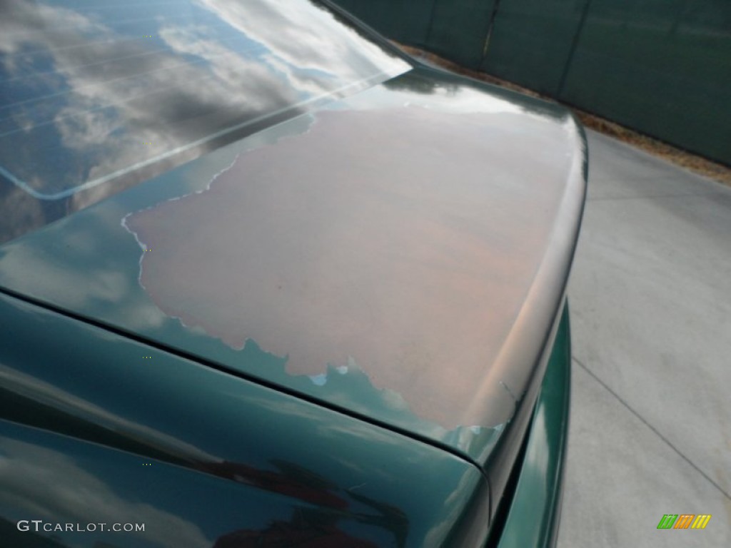 2000 Focus ZTS Sedan - Rainforest Green Metallic / Medium Parchment photo #20