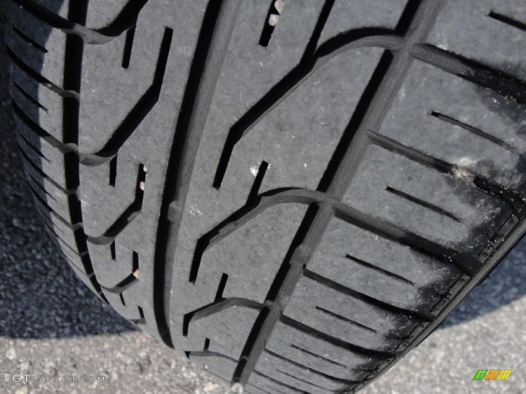 2004 Grand Marquis LS - Gold Ash Metallic / Medium Parchment photo #21