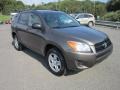 Pyrite Metallic - RAV4 I4 4WD Photo No. 1