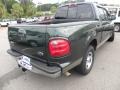 2001 Estate Green Metallic Ford F150 XLT SuperCrew  photo #12