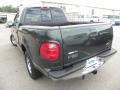 2001 Estate Green Metallic Ford F150 XLT SuperCrew  photo #15