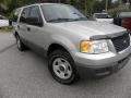 Silver Birch Metallic 2005 Ford Expedition XLS