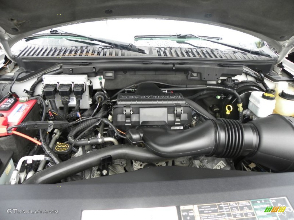 2005 Ford Expedition XLS 5.4 Liter SOHC 24V VVT Triton V8 Engine Photo #53326117
