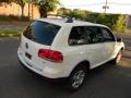 Campanella White - Touareg V6 Photo No. 25