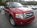 Redfire Metallic - Expedition XLT Photo No. 1