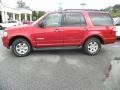Redfire Metallic - Expedition XLT Photo No. 2