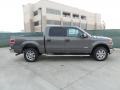 2011 Sterling Grey Metallic Ford F150 Texas Edition SuperCrew  photo #2