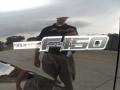 2011 Ebony Black Ford F150 Texas Edition SuperCrew 4x4  photo #13