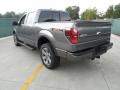 Sterling Grey Metallic - F150 FX4 SuperCrew 4x4 Photo No. 5