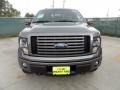 2011 Sterling Grey Metallic Ford F150 FX4 SuperCrew 4x4  photo #8