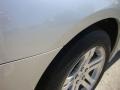 Bright Silver Metallic - Charger R/T Photo No. 33