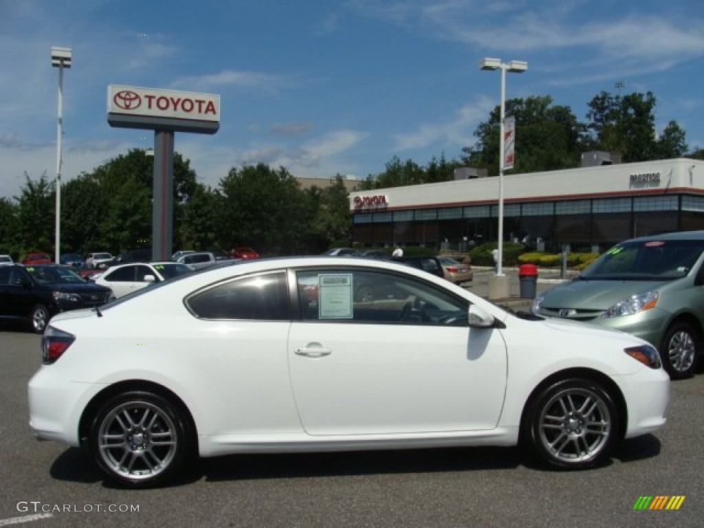 2010 tC  - Super White / Dark Charcoal photo #1