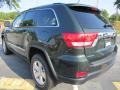 2011 Natural Green Pearl Jeep Grand Cherokee Laredo X Package  photo #2
