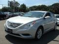 Radiant Silver - Sonata GLS Photo No. 3