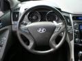 2011 Pacific Blue Pearl Hyundai Sonata SE  photo #12