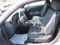 Tungsten Metallic - Challenger SE Photo No. 6