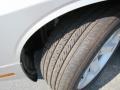 Bright Silver Metallic - Challenger SXT Photo No. 10
