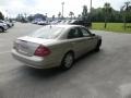 Pewter Silver Metallic - E 320 Sedan Photo No. 5