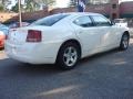 Stone White - Charger SE Photo No. 4