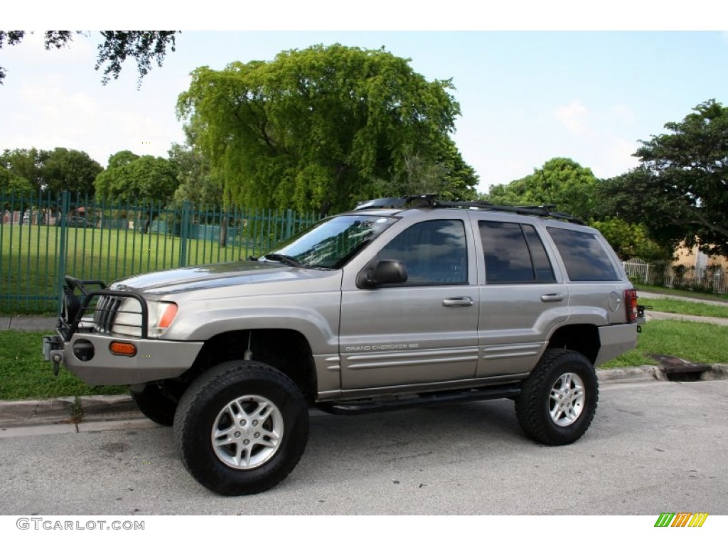 1999 Grand Cherokee Limited 4x4 - Bright Platinum Metallic / Agate photo #2