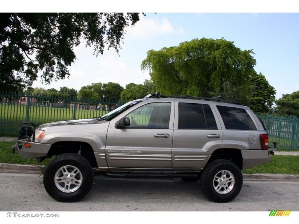 1999 Grand Cherokee Limited 4x4 - Bright Platinum Metallic / Agate photo #3