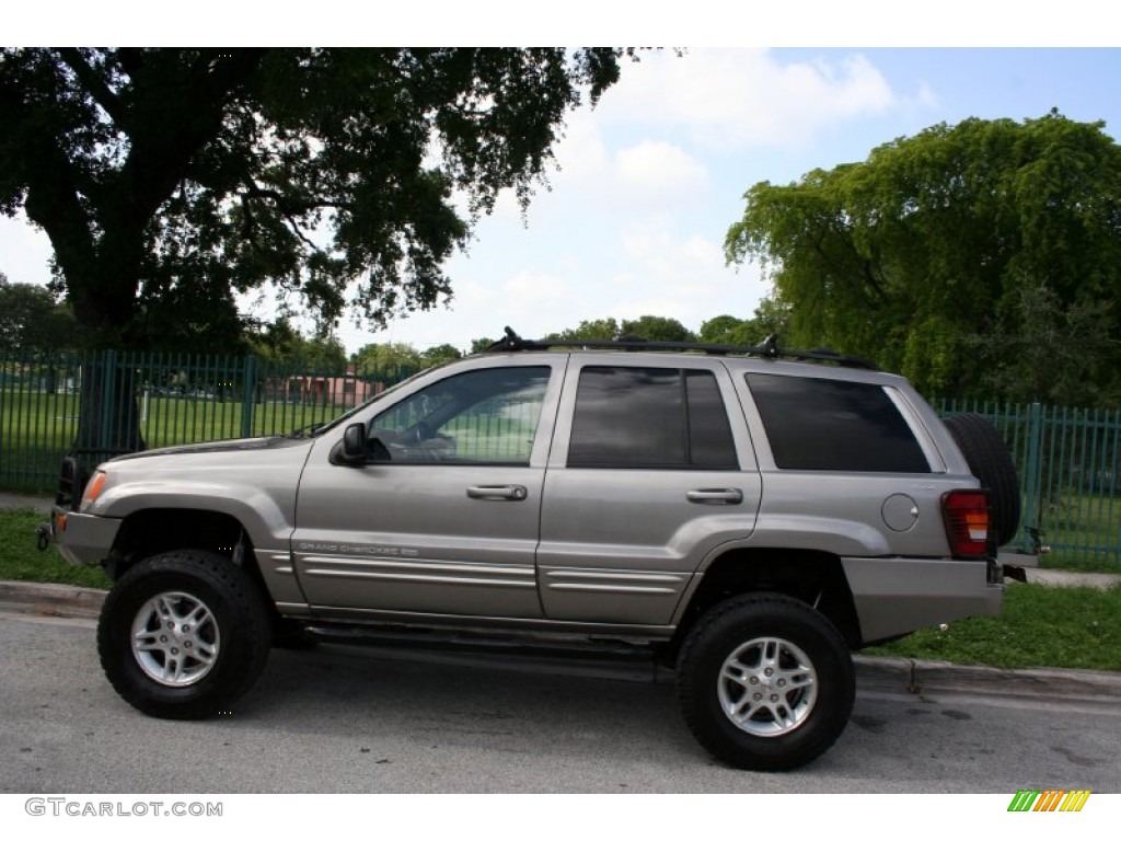 1999 Grand Cherokee Limited 4x4 - Bright Platinum Metallic / Agate photo #4