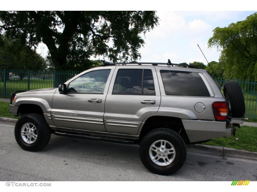 1999 Grand Cherokee Limited 4x4 - Bright Platinum Metallic / Agate photo #5