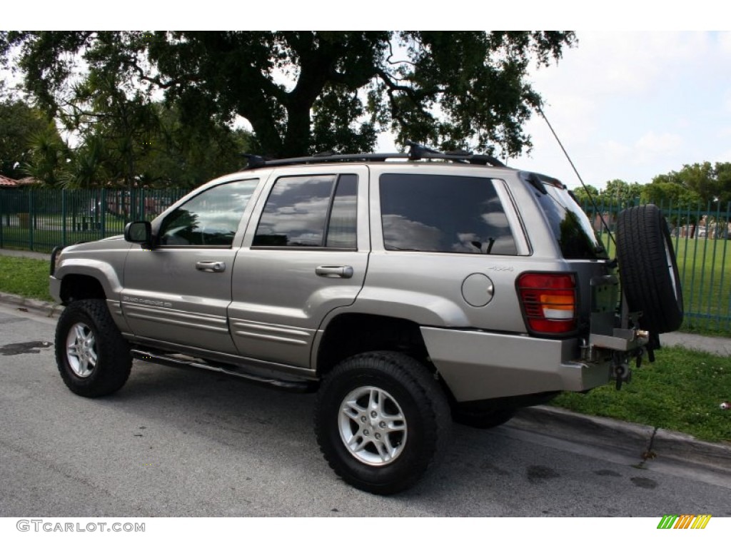 1999 Grand Cherokee Limited 4x4 - Bright Platinum Metallic / Agate photo #6