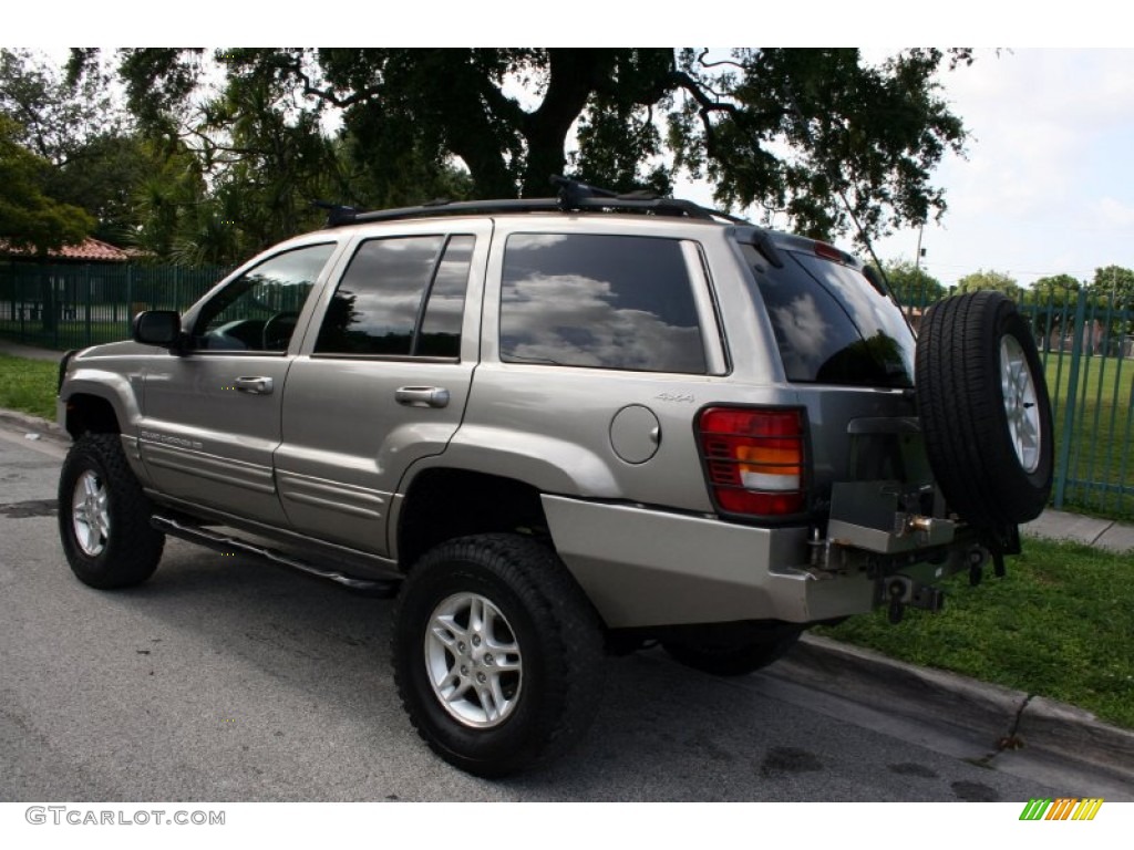 1999 Grand Cherokee Limited 4x4 - Bright Platinum Metallic / Agate photo #7