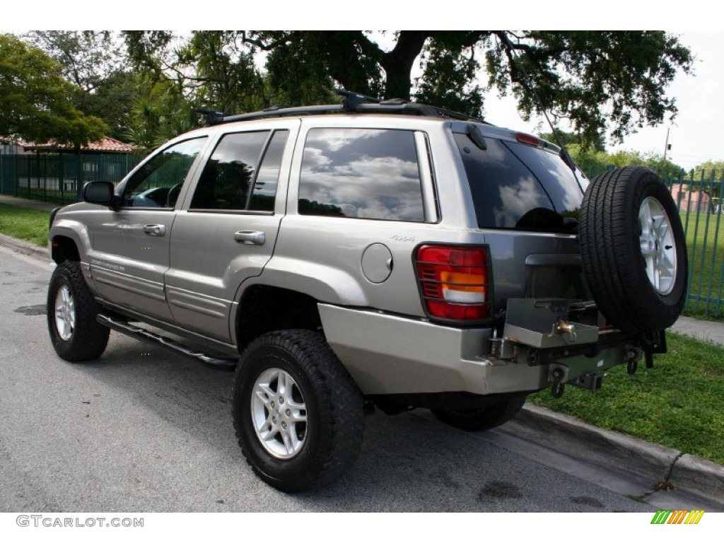 1999 Grand Cherokee Limited 4x4 - Bright Platinum Metallic / Agate photo #8