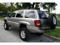 Bright Platinum Metallic - Grand Cherokee Limited 4x4 Photo No. 8