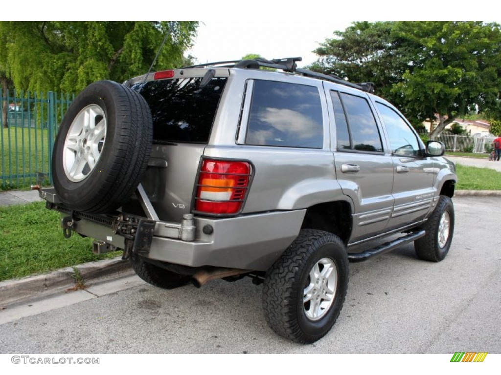 1999 Grand Cherokee Limited 4x4 - Bright Platinum Metallic / Agate photo #9