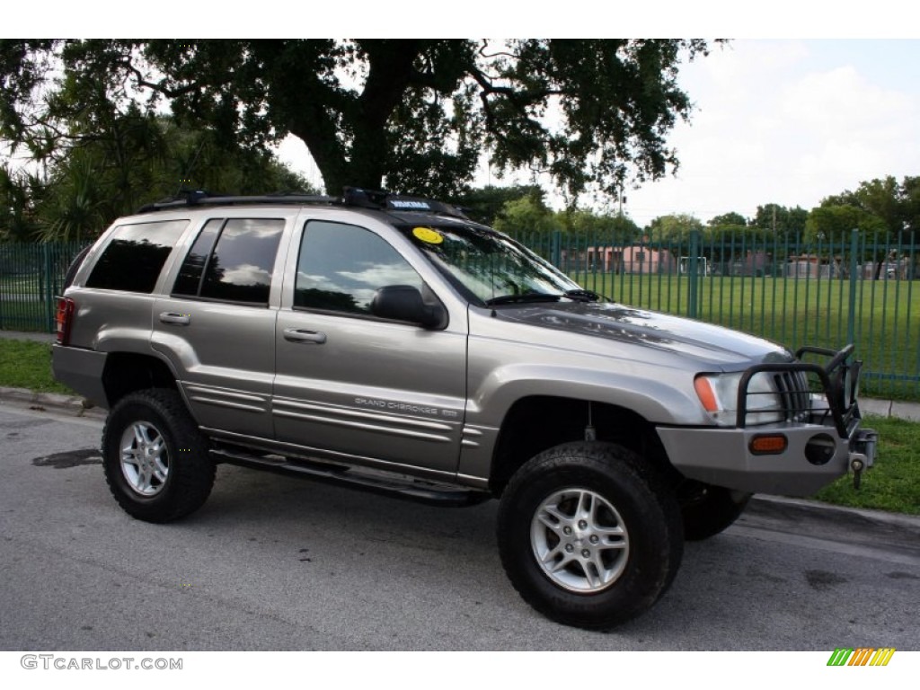 1999 Grand Cherokee Limited 4x4 - Bright Platinum Metallic / Agate photo #13