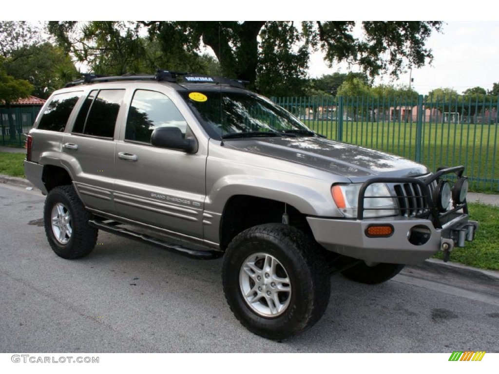 1999 Grand Cherokee Limited 4x4 - Bright Platinum Metallic / Agate photo #14
