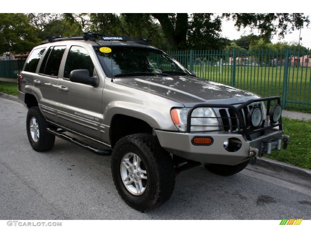 1999 Grand Cherokee Limited 4x4 - Bright Platinum Metallic / Agate photo #15