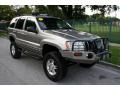 1999 Bright Platinum Metallic Jeep Grand Cherokee Limited 4x4  photo #15