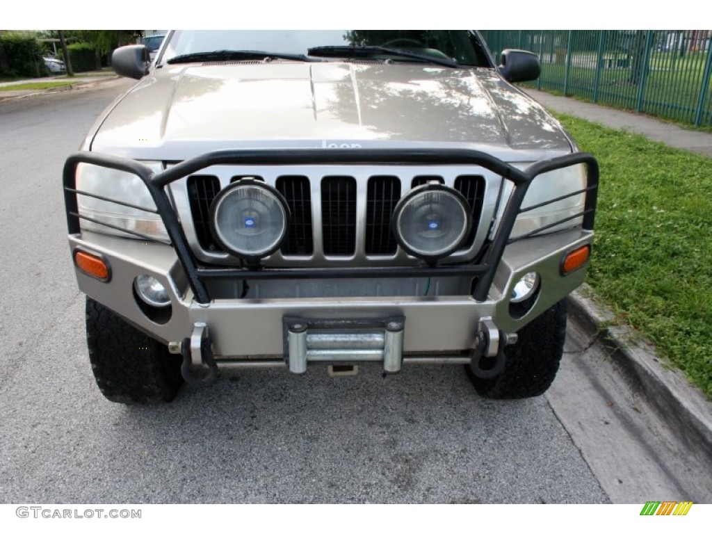1999 Grand Cherokee Limited 4x4 - Bright Platinum Metallic / Agate photo #17
