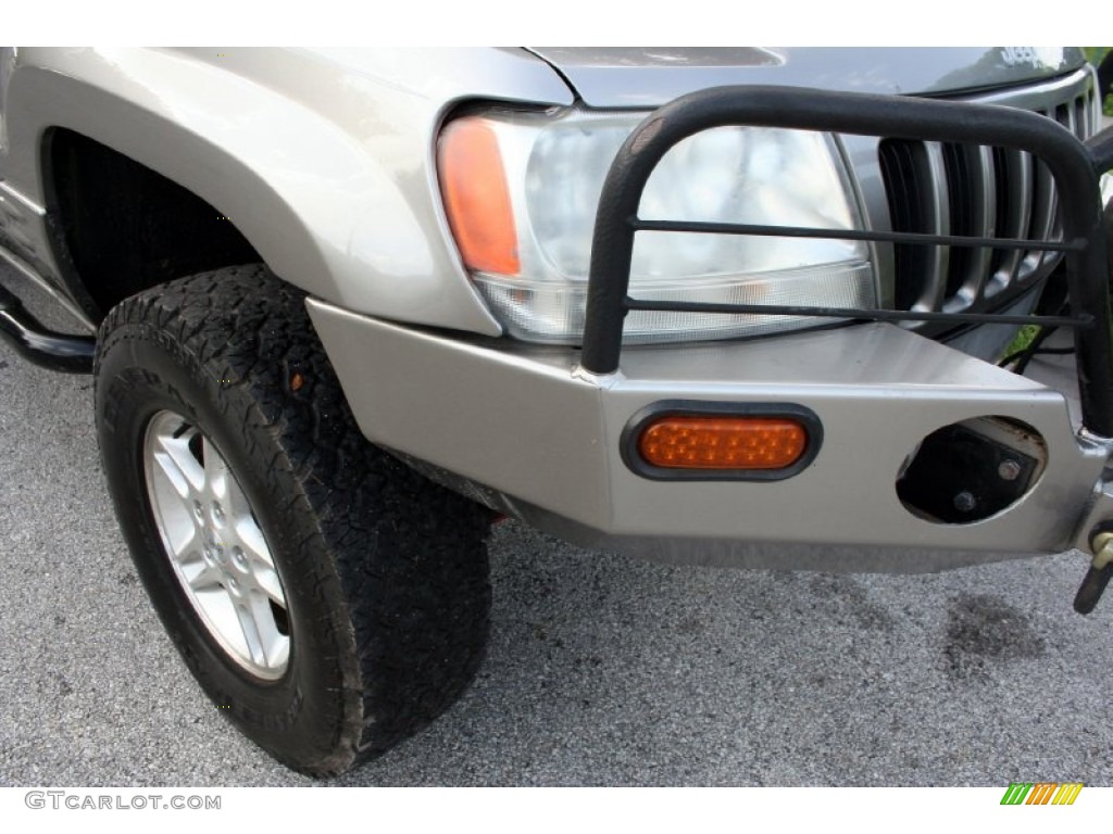 1999 Grand Cherokee Limited 4x4 - Bright Platinum Metallic / Agate photo #19
