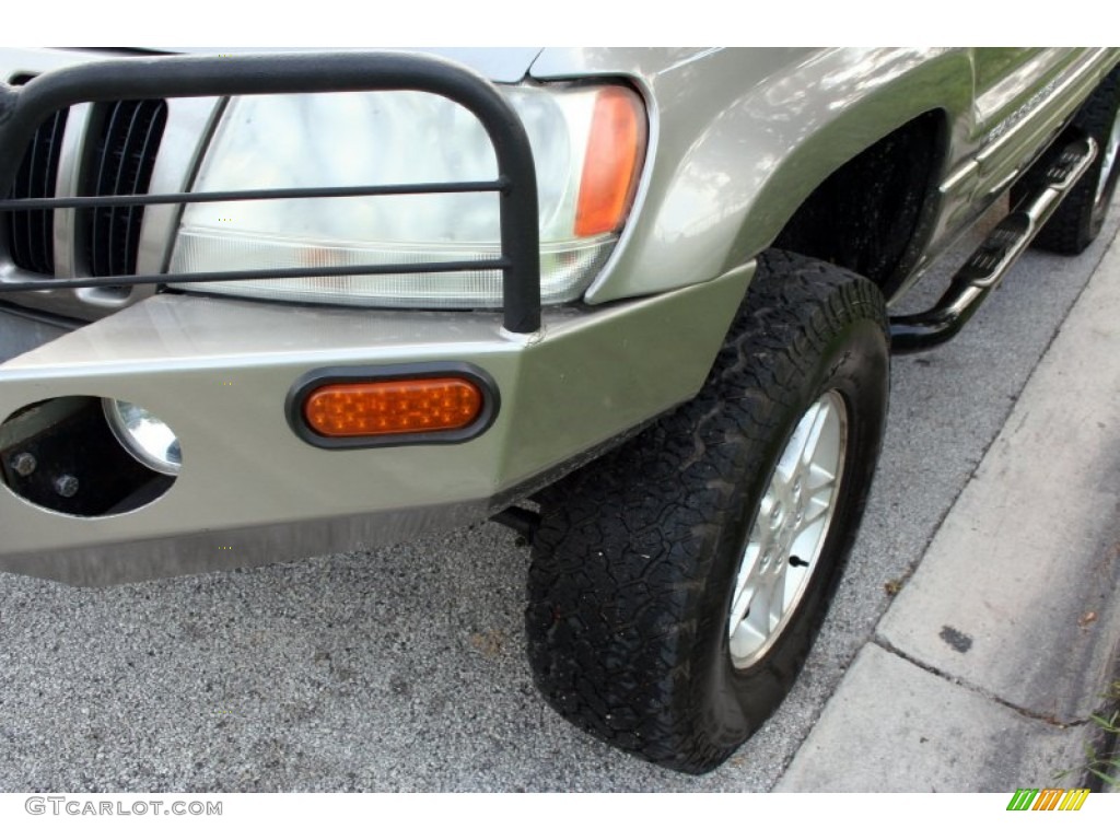 1999 Grand Cherokee Limited 4x4 - Bright Platinum Metallic / Agate photo #20