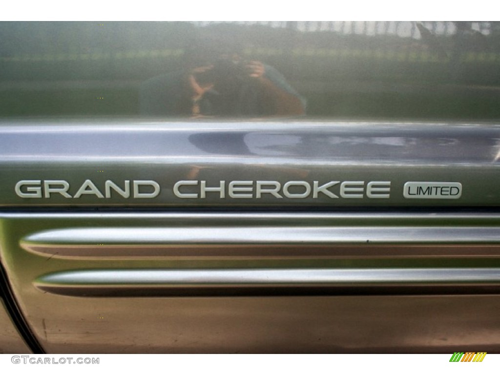 1999 Grand Cherokee Limited 4x4 - Bright Platinum Metallic / Agate photo #24